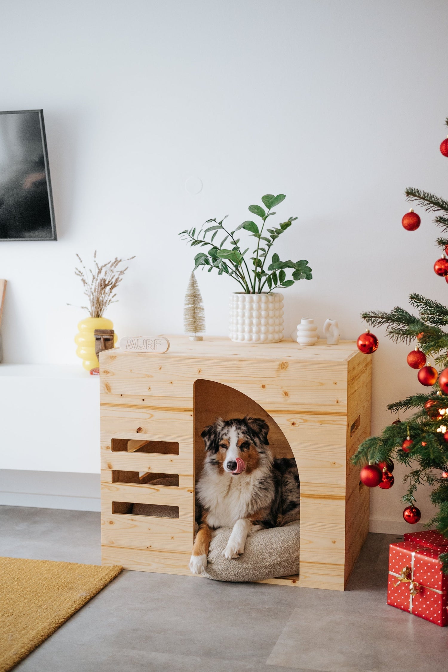 It’s not just a dog house. It’s a room of their own.
